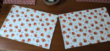 Load image into Gallery viewer, Pair of 2 Cotton Reversible Placemats
