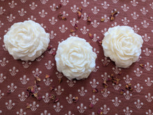 Load image into Gallery viewer, Peony Wax Melts
