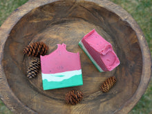 Load image into Gallery viewer, Watermelon Sugar 🍉
