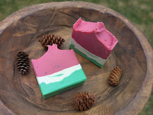 Load image into Gallery viewer, Watermelon Sugar 🍉
